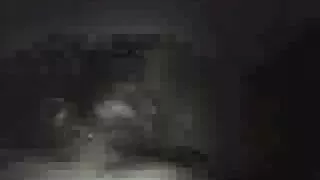 Tetovētās meitenes laiza